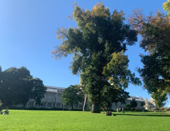 オーストラリアの公園。有給を使ってくつろぐ人が多い