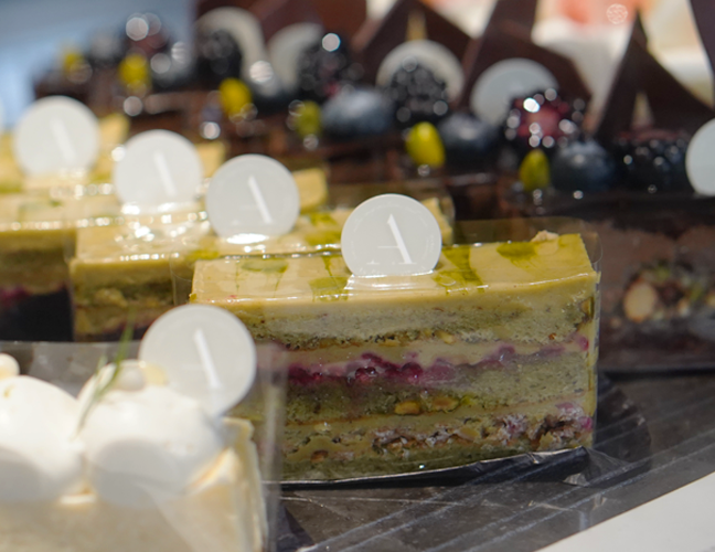 アサコイワヤナギ