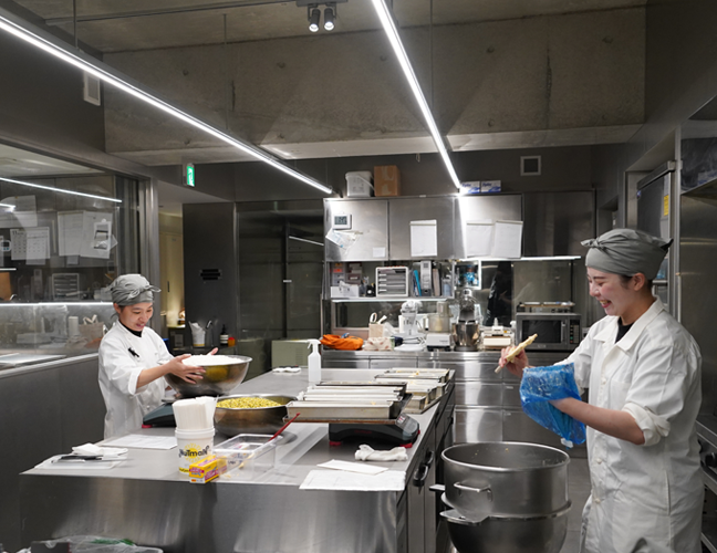 アサコイワヤナギ