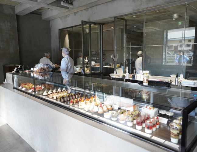 アサコイワヤナギ